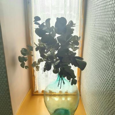 E5d936e4 765c 40ae Bfde 6c4273116150